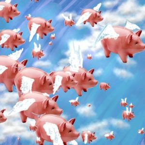 Pigs Fly